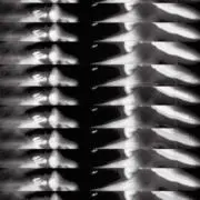 プロフィールお読みください  /////の画像