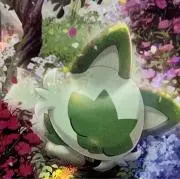Yumamaの画像
