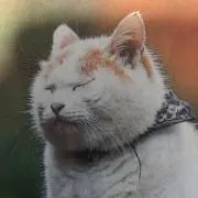 東辺 東の画像