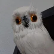MandMの画像