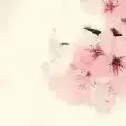 Cancoの画像
