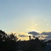 ゆの画像