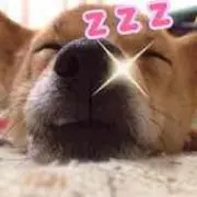 ももコロン