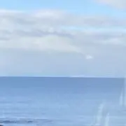 デラクルーズの画像