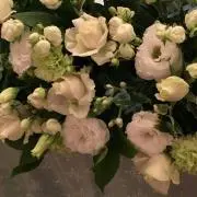 バァママ