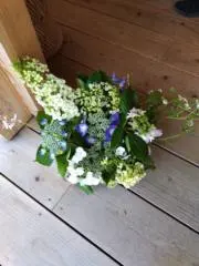 クロネコの画像