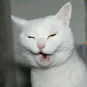 じる♡♡の画像