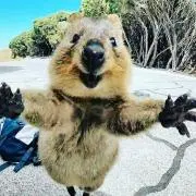 ぽにょぽにょ( ˆ ˆ )♡