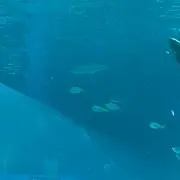 断捨離中の画像