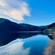 tamadaの画像