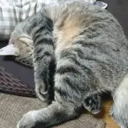 ひろし