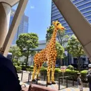 yaahhh ✴︎おまとめ大歓迎✴︎の画像