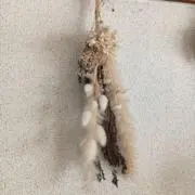 抹茶の画像