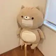 だ。