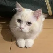 332211の画像