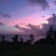 tamakohotateの画像