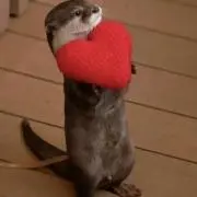 かわうそ