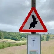 しろくろ