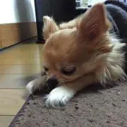 たくと