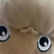 ジョージアの画像