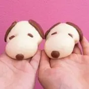 yの画像