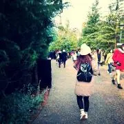 mjmの画像