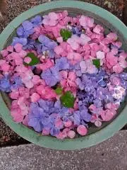 めぐみるくの画像