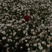 ミの画像