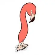 スンドゥブ