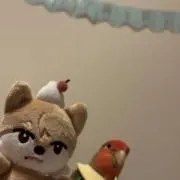 Sui MAMAの画像