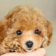 ☆みどり☆