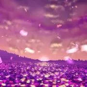 fss★SALE中★の画像