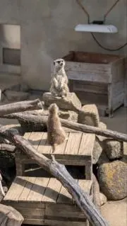 9453館 シェーファー 797 万年筆・ボールペン カートリッジ付き