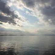 サンダー