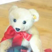 ケリーの画像