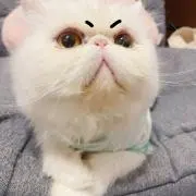 kの画像
