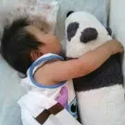panda*