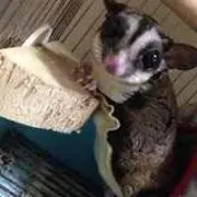 かおりん☆プロフ必読！