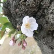 ⭐︎なつひ⭐︎