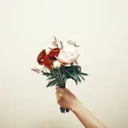いろは