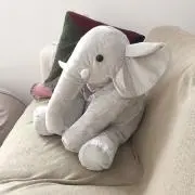 ゆいまるの画像