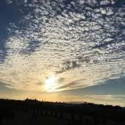 51の画像