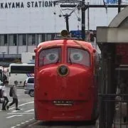 ぴろの画像