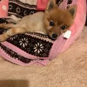 みい