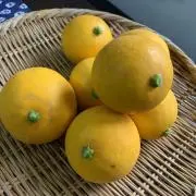 kimmyの画像