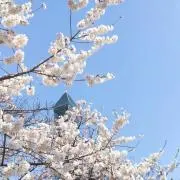 さえぼん☆発送は土日のみ☆の画像