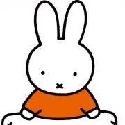 モカちゃんの画像