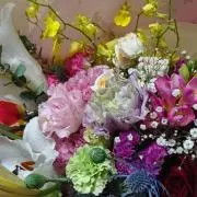 sechi