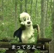 さかなのめ