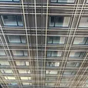 チャコマンの画像